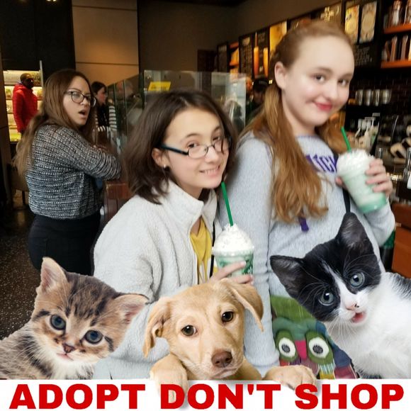 Meet your Posher, Cynthia - Picture 1 of 1